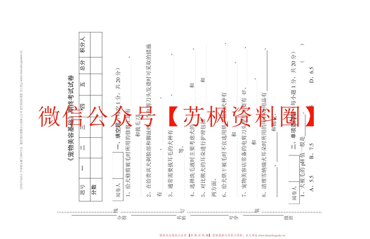 宠物美容